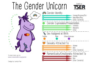 Introduction to Gender the Unicorn