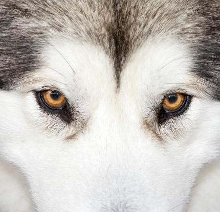 Het eerste erwt.org e-book komt eraan en de titel is…